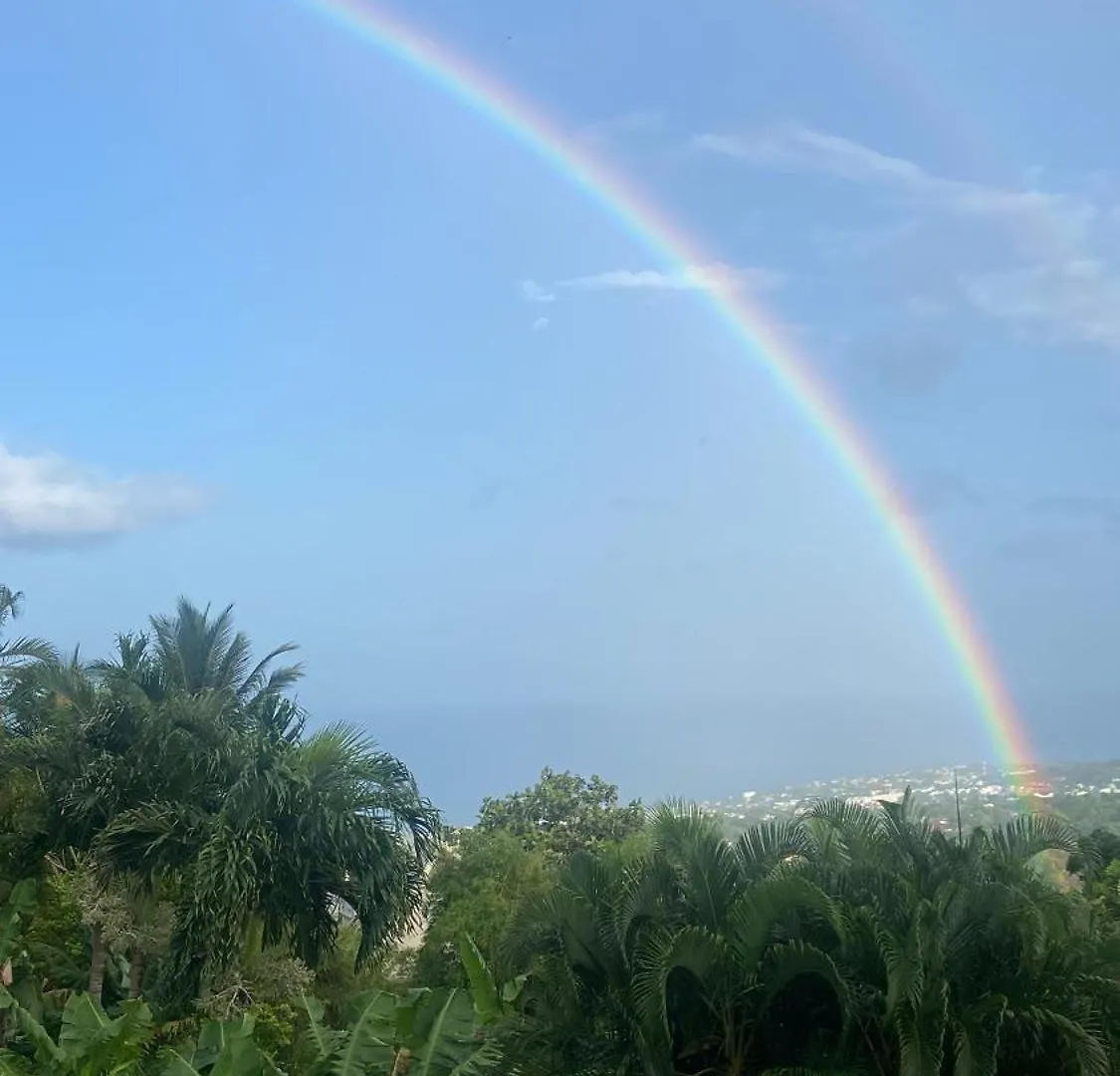 Bel Appartement Avec Piscine Privee Et Vue Exceptionnelle Gourbeyre Guadeloupe